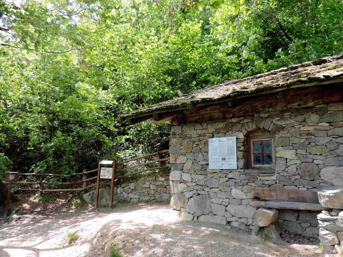 Boutique Appartamento Bacchus Marlengo Dış mekan fotoğraf