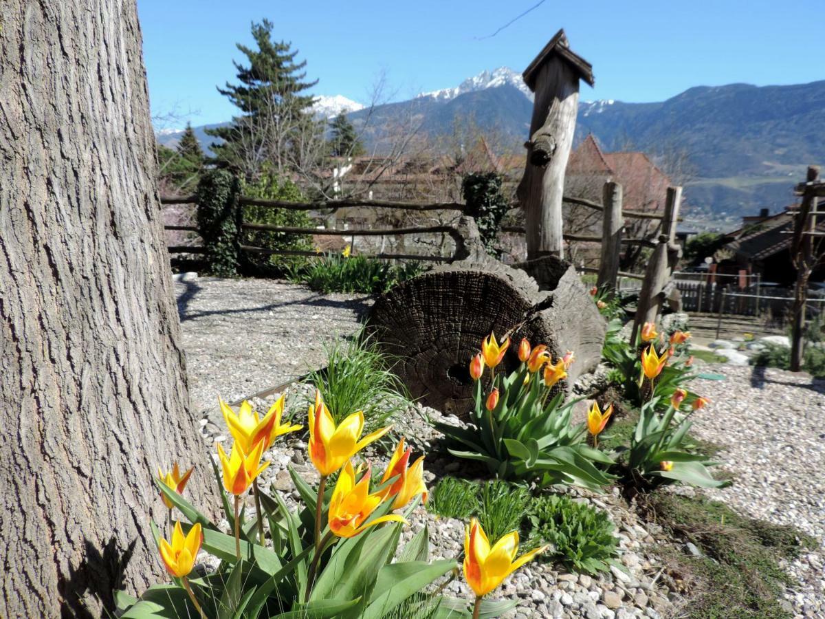 Boutique Appartamento Bacchus Marlengo Dış mekan fotoğraf